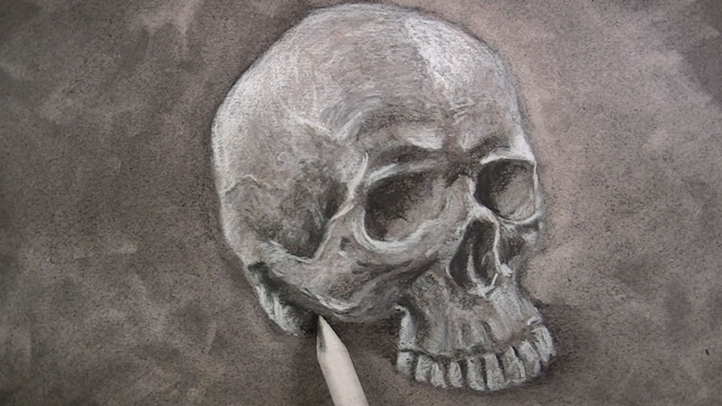 Charcoal Skull Drawing Tutorial 