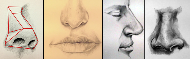 How to Draw a Nose