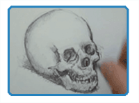 Free Drawing Lessons-Ball Point Pen