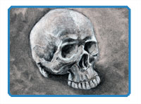 How to Draw with Charcoal - Skull Header