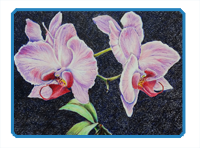 Colored Pencil Orchid Demonstration