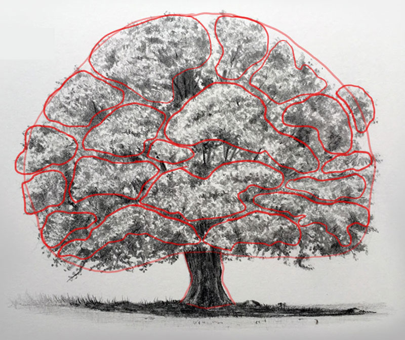 tree leaves texture drawing