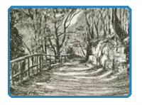 Conte Landscape Drawing