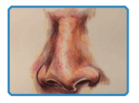 How to draw a nose with colored pencils
