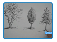 How to draw trees head