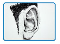 How to Draw a Realistic Ear