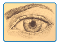 How to Draw a realistic eye