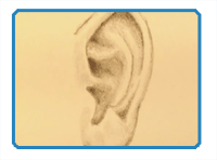 How to draw a realistic ear