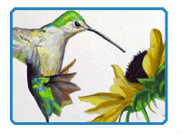 How to Paint a Hummingbird