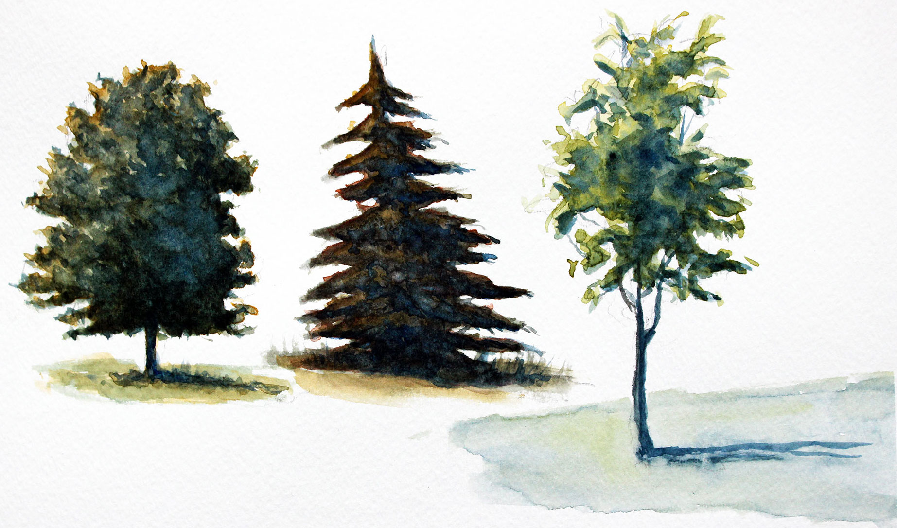 Watercolor Trees