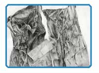 Texture Drawing Lesson Plan