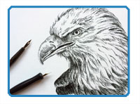 Pen and ink eagle part 2