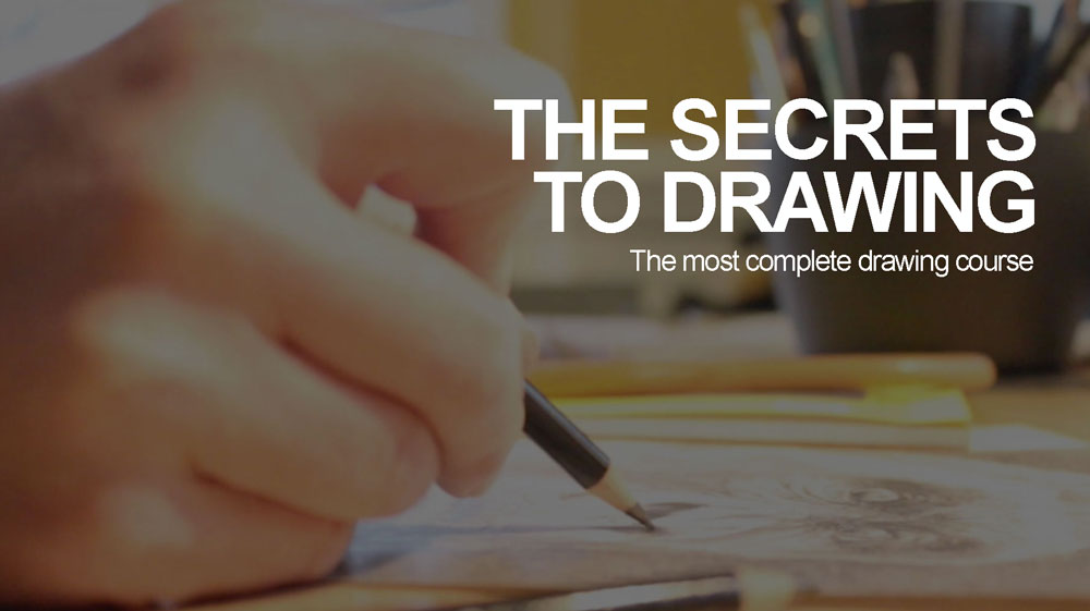 The Secrets to Drawing Video Course